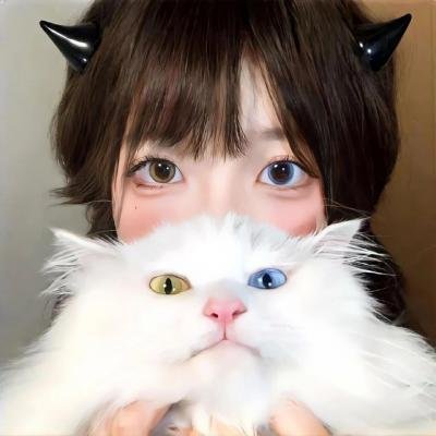 我来也大战四猛虎